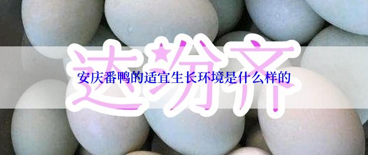 安庆番鸭的适宜生长环境是什么样的