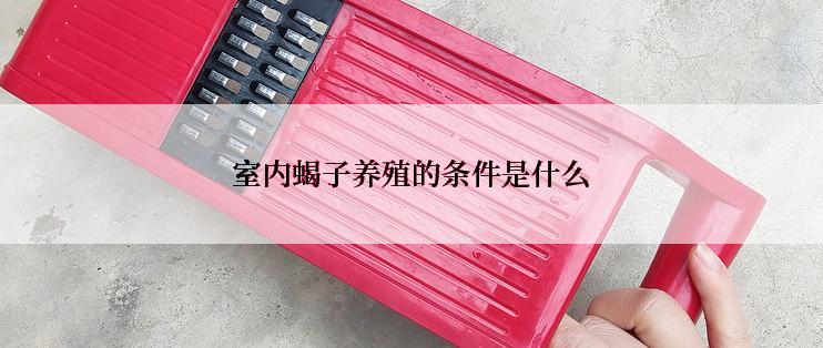 室内蝎子养殖的条件是什么