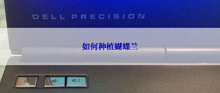 如何种植蝴蝶兰