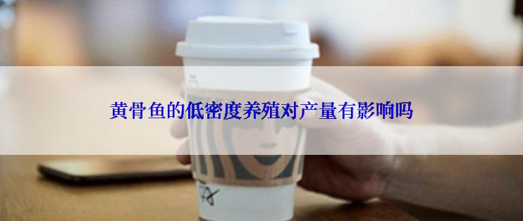 黄骨鱼的低密度养殖对产量有影响吗