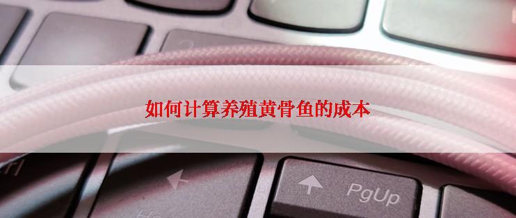 如何计算养殖黄骨鱼的成本