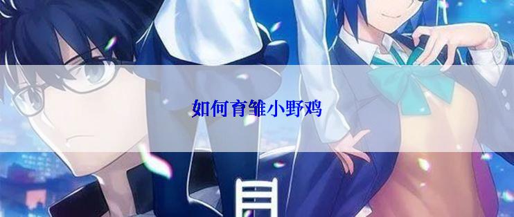 如何育雏小野鸡