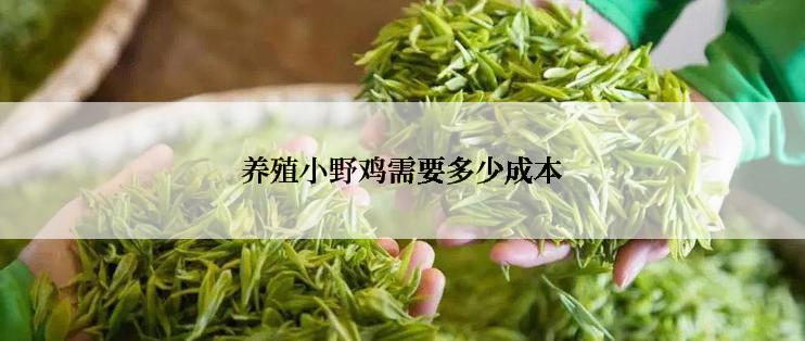 养殖小野鸡需要多少成本