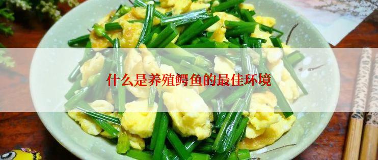 什么是养殖鳄鱼的最佳环境