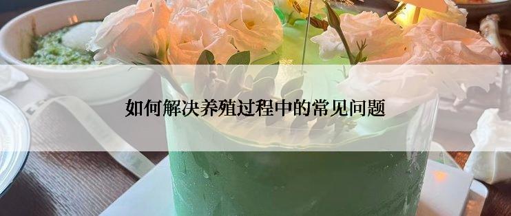 如何解决养殖过程中的常见问题