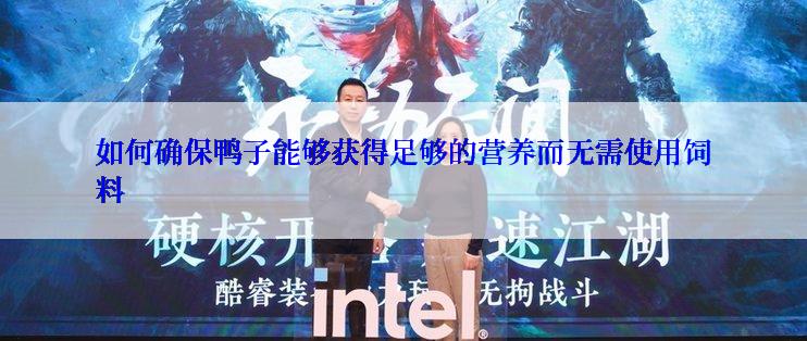 如何确保鸭子能够获得足够的营养而无需使用饲料