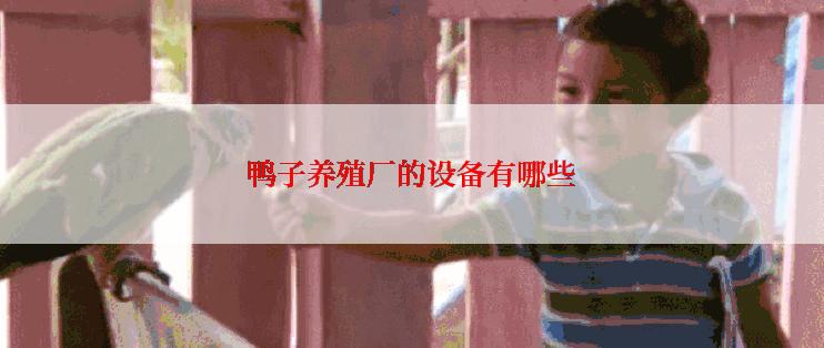 鸭子养殖厂的设备有哪些