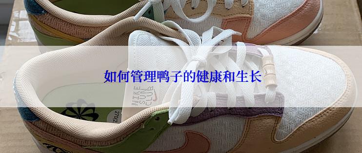  如何管理鸭子的健康和生长