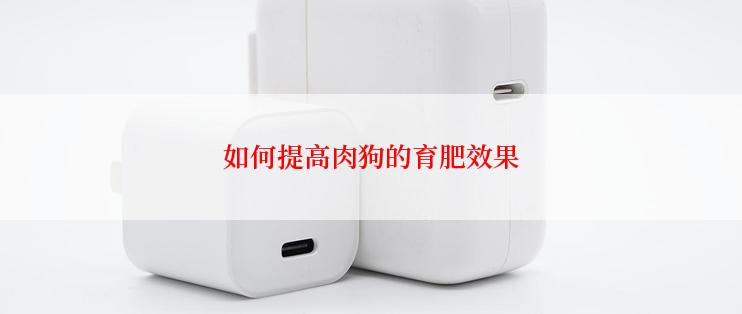 如何提高肉狗的育肥效果