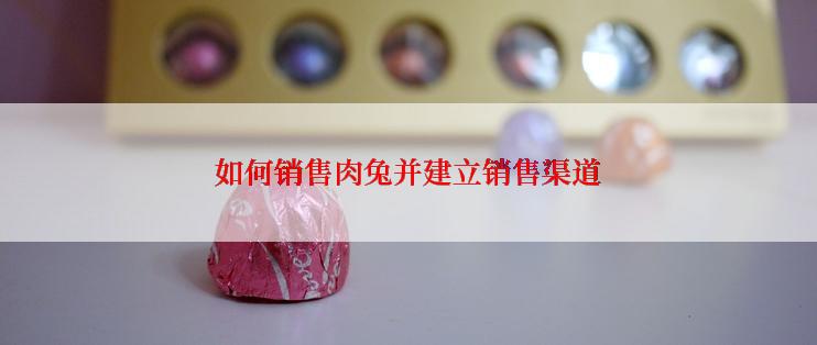 如何销售肉兔并建立销售渠道