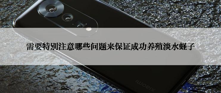 需要特别注意哪些问题来保证成功养殖淡水蛏子