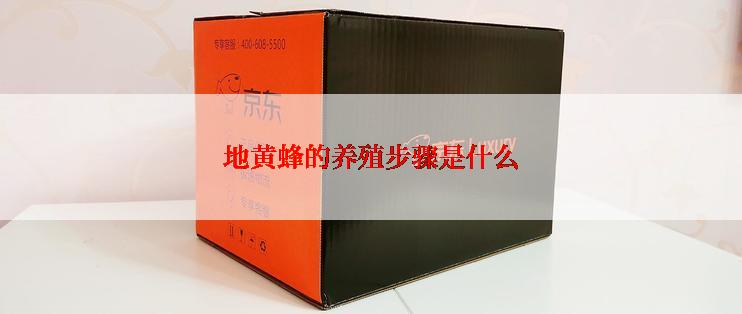 地黄蜂的养殖步骤是什么