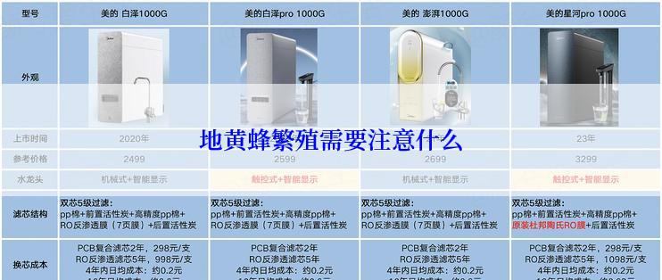 地黄蜂繁殖需要注意什么