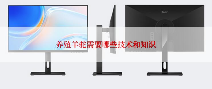 养殖羊驼需要哪些技术和知识