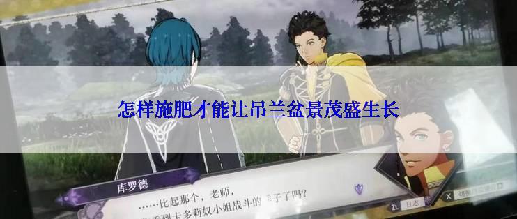 怎样施肥才能让吊兰盆景茂盛生长