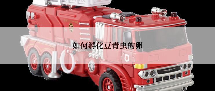 如何孵化豆青虫的卵