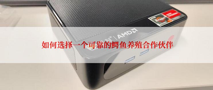  如何选择一个可靠的鳄鱼养殖合作伙伴