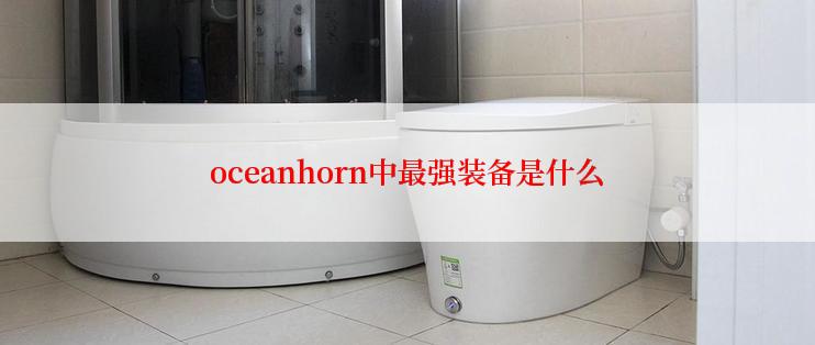 oceanhorn中最强装备是什么