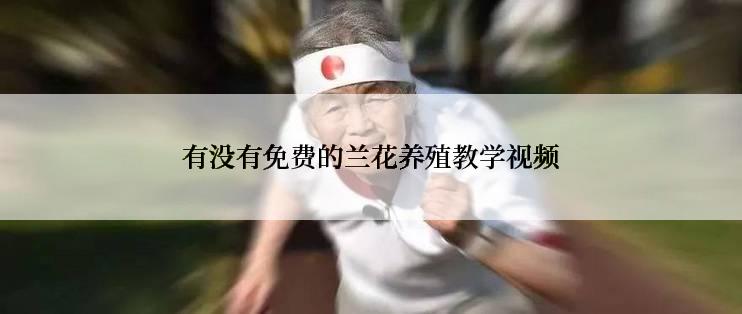 有没有免费的兰花养殖教学视频