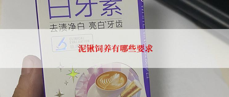  泥锹饲养有哪些要求