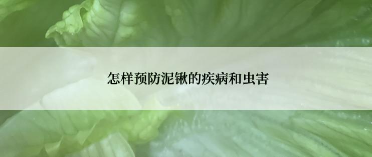  怎样预防泥锹的疾病和虫害