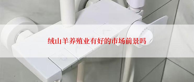 绒山羊养殖业有好的市场前景吗