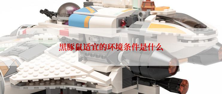 黑豚鼠适宜的环境条件是什么