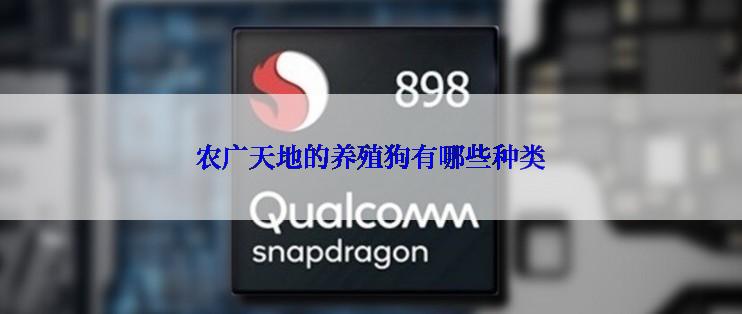 农广天地的养殖狗有哪些种类