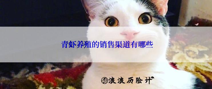  青虾养殖的销售渠道有哪些