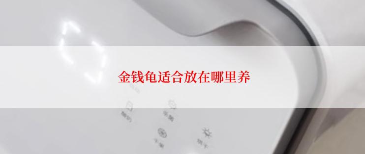 金钱龟适合放在哪里养