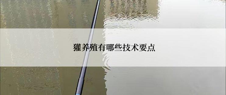  獾养殖有哪些技术要点