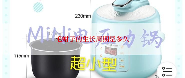 毛蚶子的生长周期是多久