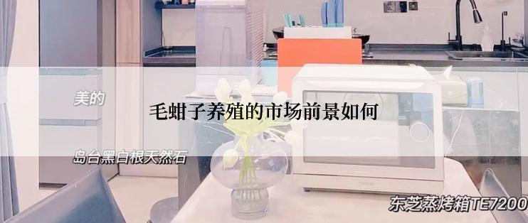 毛蚶子养殖的市场前景如何