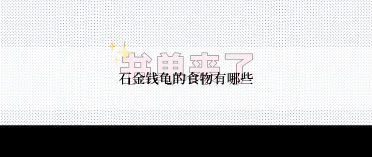 石金钱龟的食物有哪些