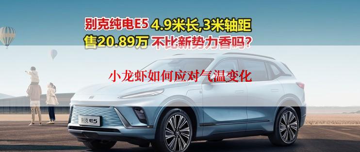 小龙虾如何应对气温变化