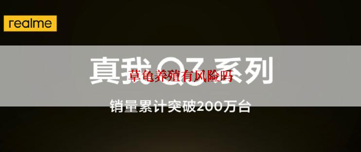 草龟养殖有风险吗