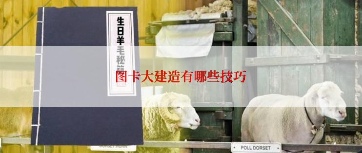 图卡大建造有哪些技巧