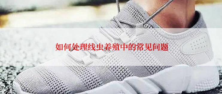  如何处理线虫养殖中的常见问题