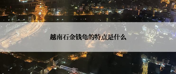 越南石金钱龟的特点是什么