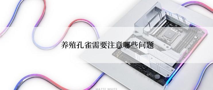  养殖孔雀需要注意哪些问题