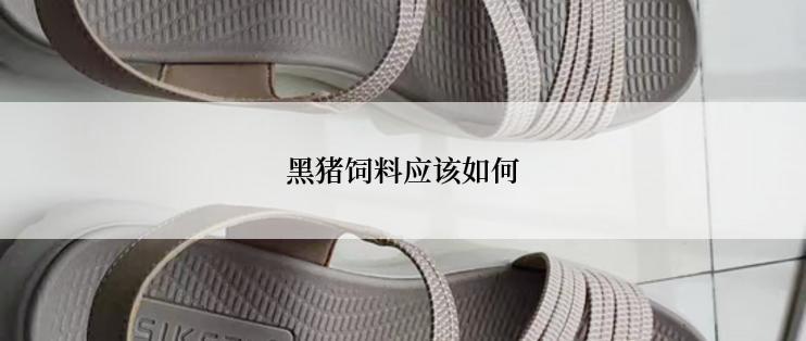 黑猪饲料应该如何