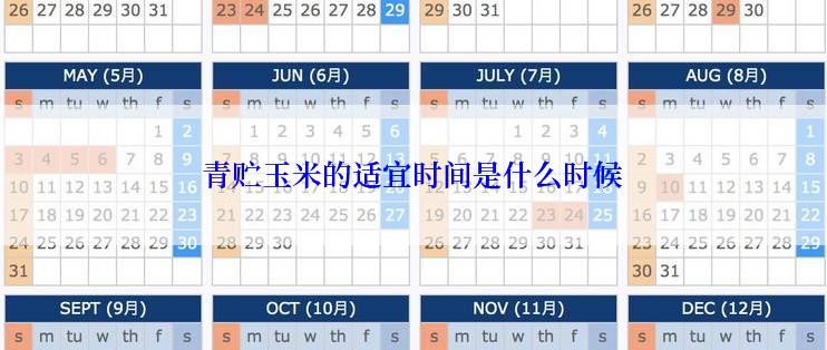 青贮玉米的适宜时间是什么时候