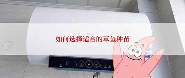 如何选择适合的草鱼种苗