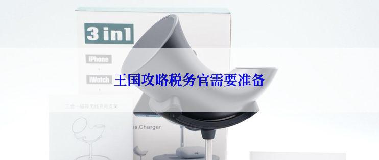 王国攻略税务官需要准备