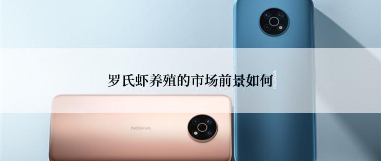 罗氏虾养殖的市场前景如何