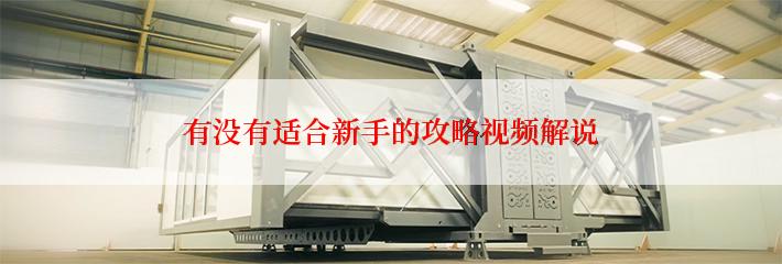 有没有适合新手的攻略视频解说