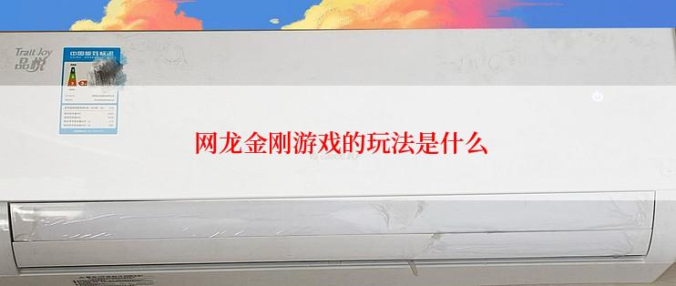  网龙金刚游戏的玩法是什么
