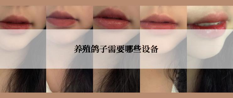 养殖鸽子需要哪些设备