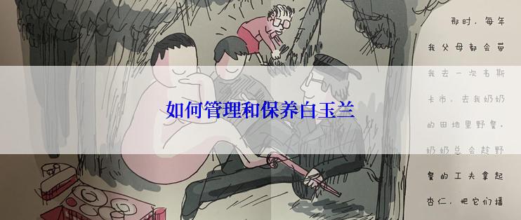 如何管理和保养白玉兰