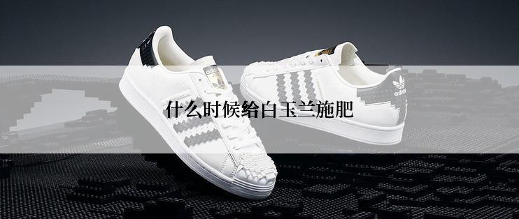 什么时候给白玉兰施肥